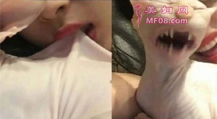 ѩ罻ƽ̨ӦŰè¼ЦЦ