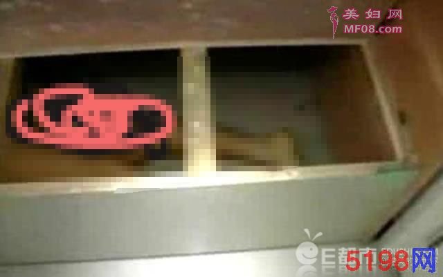 һƵ괲׾Ůʬ ֲӱһ