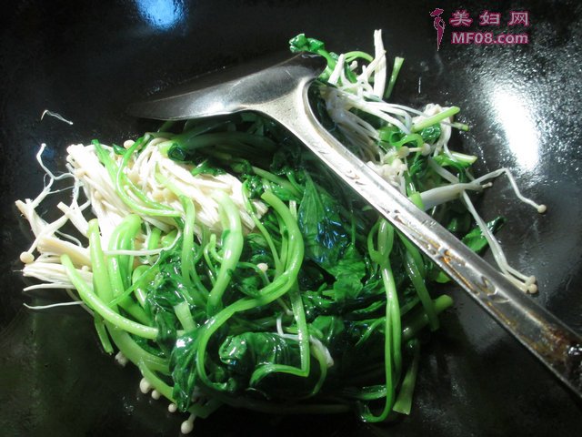 빽ëôó 빽ë˵ļҳ