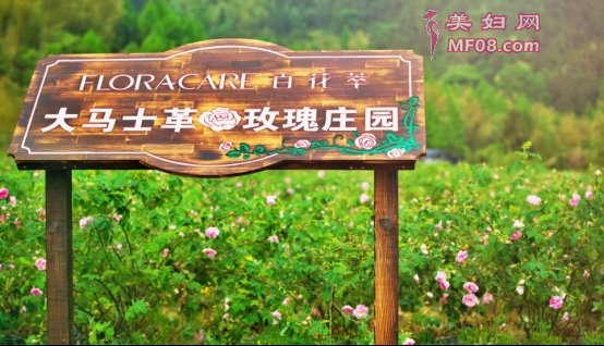 系出名门花式营销，百花萃深耕少女护肤新市场