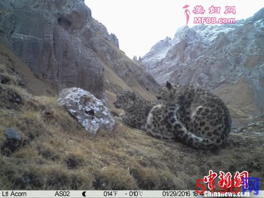 “‘IUCNSE¼’ǱѩΨһɣƬϣѩĺҪһ̽ѩ֮乲Ŀܡ” ɽˮȻԴĿ˵ɽˮȻṩ