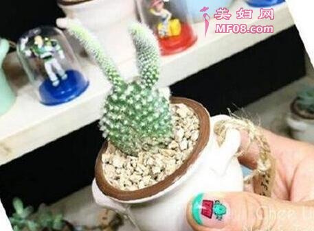 Ʒ ֲָݰ!