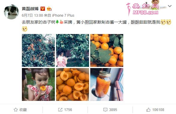 黄磊带小女儿吃杏 吃货妹妹耳坠抢镜