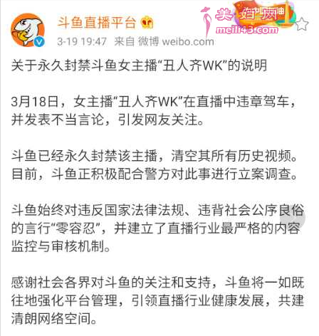 说明全文