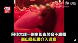 云南青华乡副乡长陈学伟KTV“不雅照”  官方：免去职务