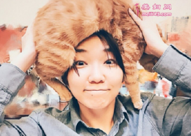 ޱޱԷתǮ ѣеŮ˰