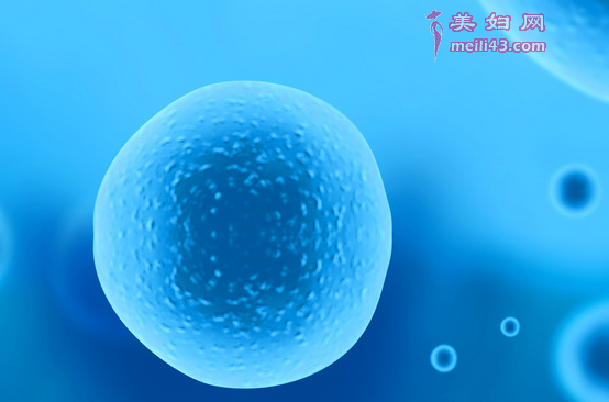 女心抗经子抗体检查需要空腹吗