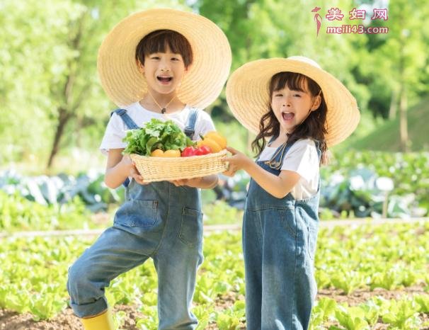 幼小衔接班主要教什么