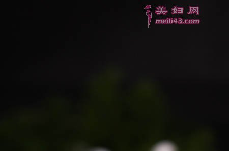命运和孩子的寓言故事1