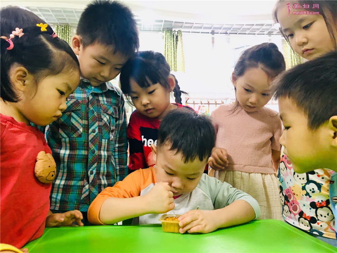 小班数学小兔的玩具店教案1