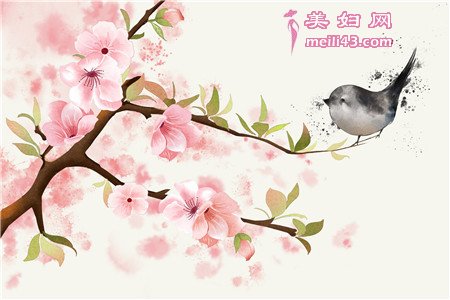 孕晚期胎教故事文字版：麻雀和八哥