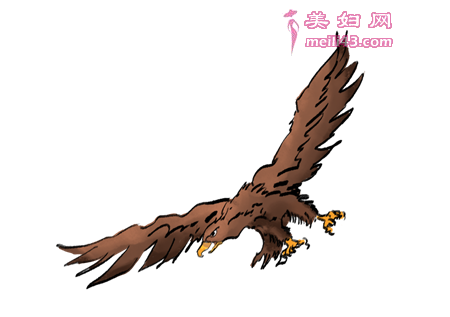 孕期爸爸胎教故事大全：被色伤的鹰