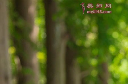 卖铁锅的故事2