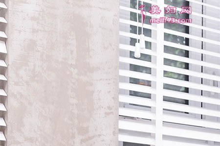 鹦鹉谋生的故事1