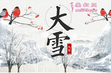 驴子和骡子的故事2