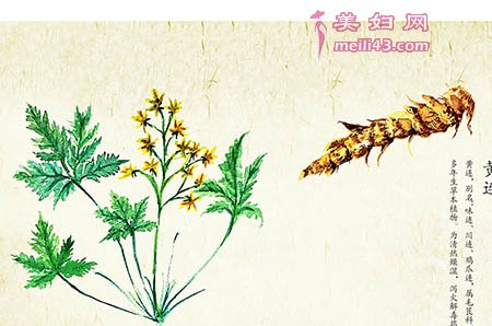 好强的公机的故事2