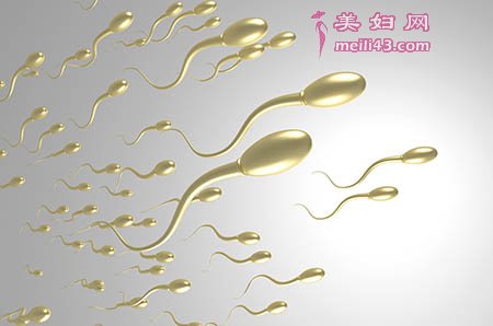 牛鼻子上的绳的故事1