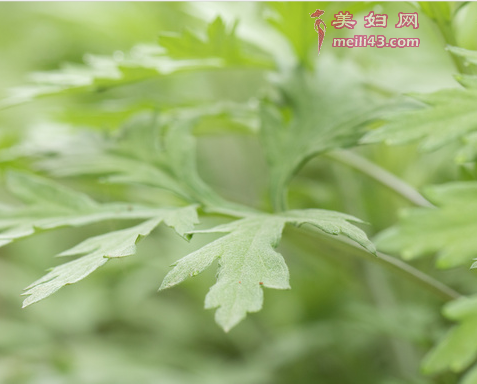 人流后可以喝艾草汤吗