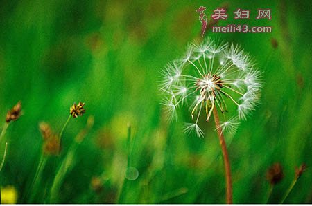 ˽Ǵ ֪֧2