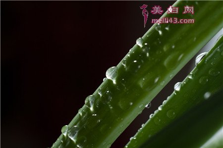 θĳʲôܻ3