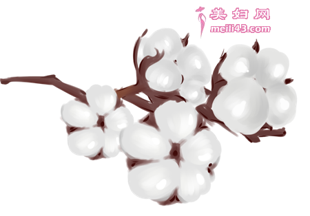 胎教故事大全每天一个：会说话的棉花包