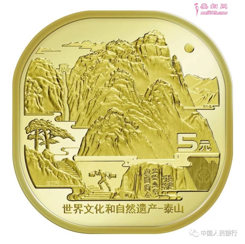 背面图案