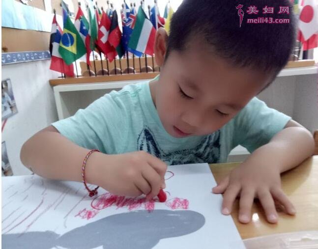 大班科学纸睡莲教案3