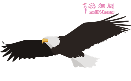 孕期爸爸胎教故事大全：高高的天上