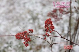 2020年小寒是几月几日几点 小寒具体时间小寒吃什么传统食物