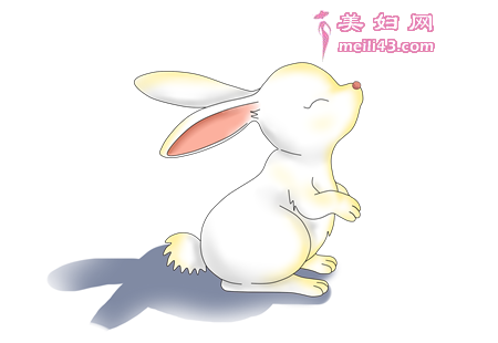 小马和小猫的童话故事