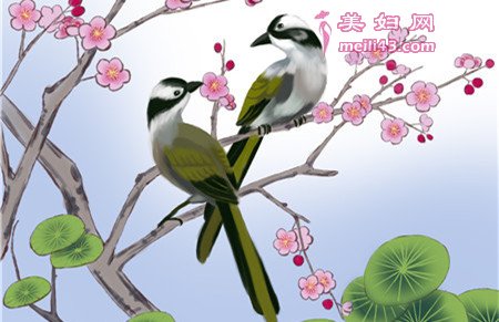 白头翁的梦的故事