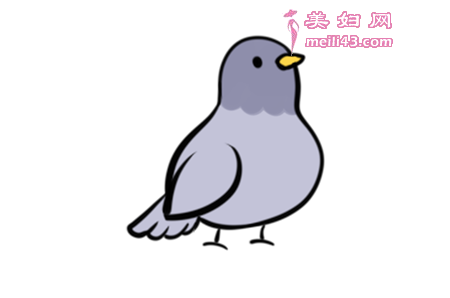 放飞小鸟的国王故事
