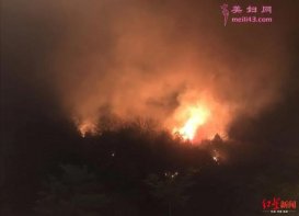 4·1四川攀枝花山火原因：系人为造成 犯罪嫌疑人被刑拘
