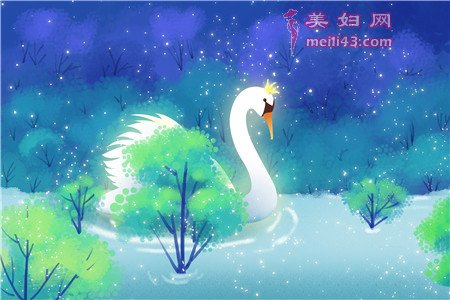 骄傲的天鹅童话故事