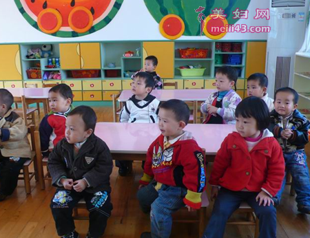 大班科学鸟儿的聚会教案2