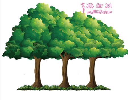 会唱歌的树故事