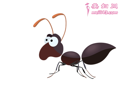 小蚂蚁的海上冒险的故事