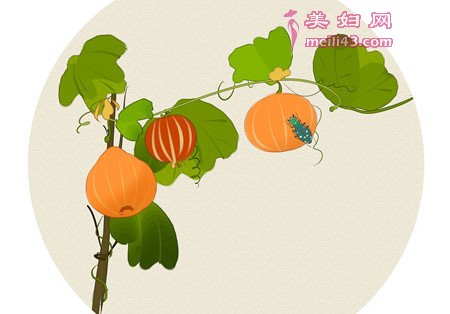 害羞的小甲虫幼儿故事