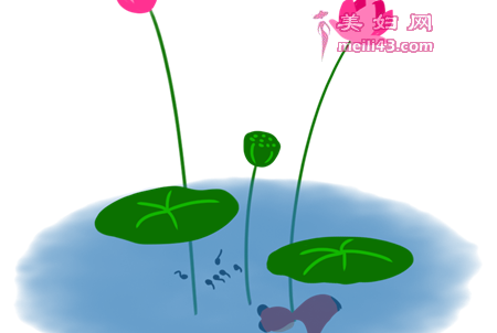 小蝌蚪找朋友的故事