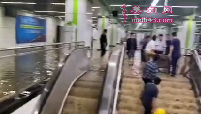 现场图