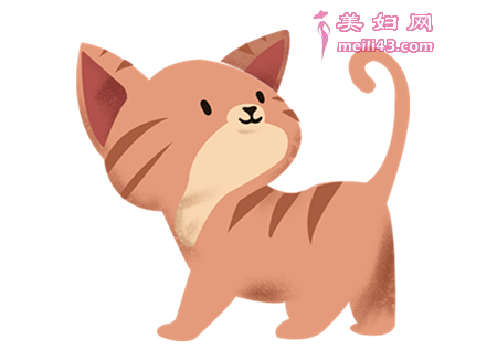 骄傲的小猫故事