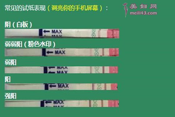 大卫排卵试纸8档图解图