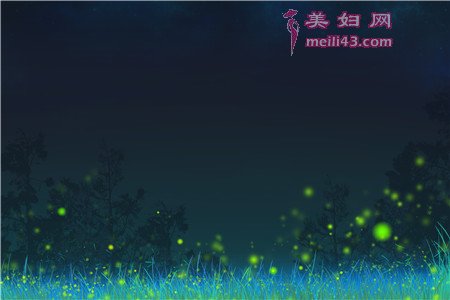 小田鼠和萤火虫故事