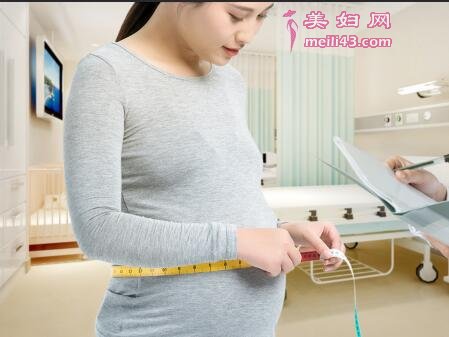 810̥ͣԤ