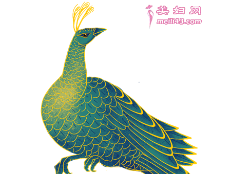 我不是孔雀公主的童话故事