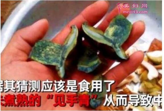 见手青