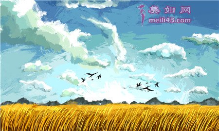 ļĸ޹