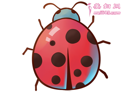 幸福的瓢虫故事