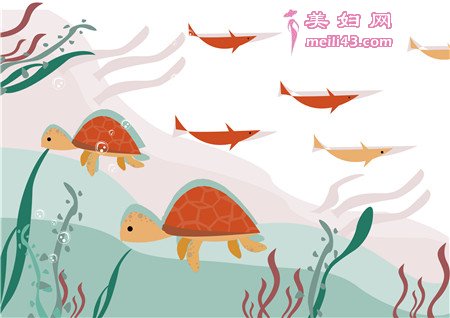 美丽的纱巾故事