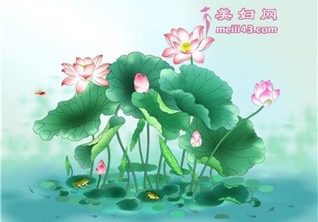 夏夜里的歌声故事